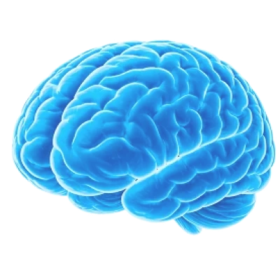 Описание изображения