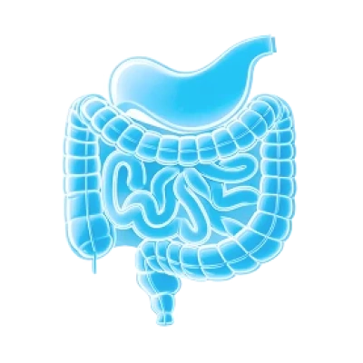 Описание изображения