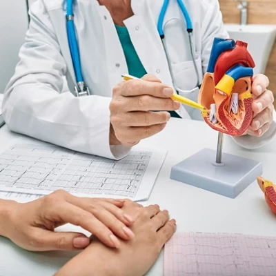 Описание изображения