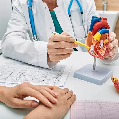 Описание изображения