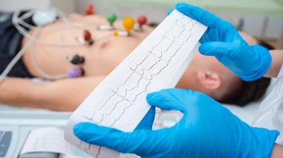 Описание изображения